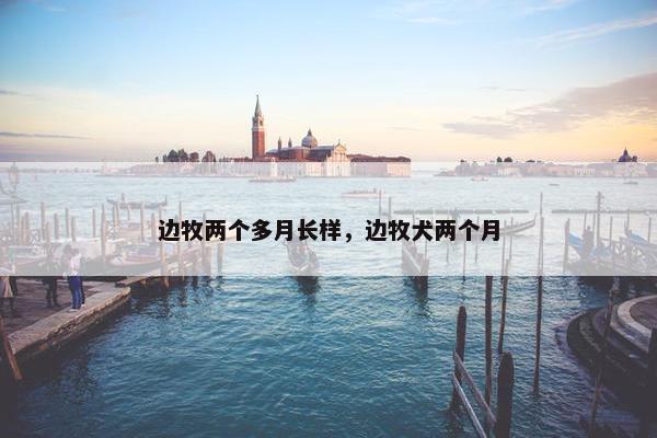 周龄