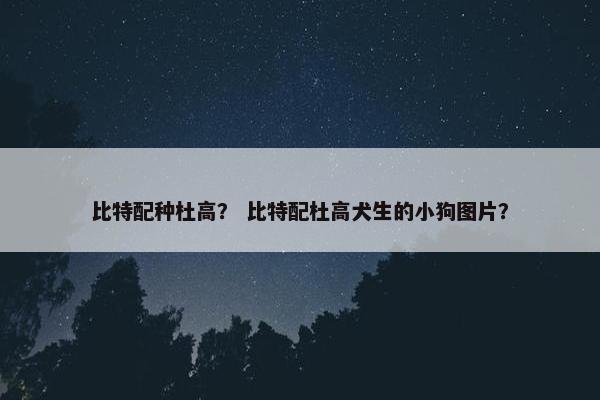 比特配种杜高？ 比特配杜高犬生的小狗图片？