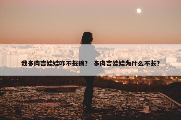 我多肉吉娃娃咋不报摘？ 多肉吉娃娃为什么不长？