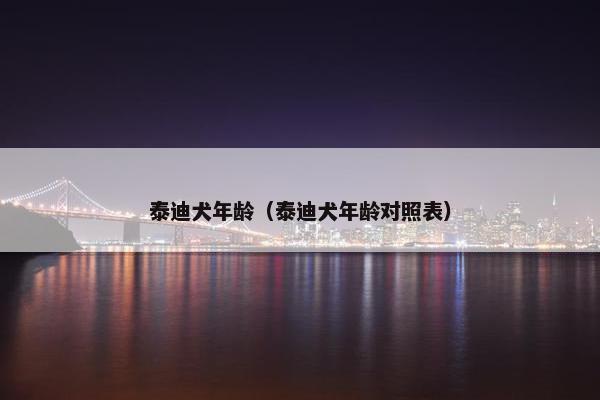 泰迪犬年龄（泰迪犬年龄对照表）