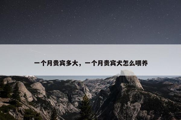 一个月贵宾多大，一个月贵宾犬怎么喂养