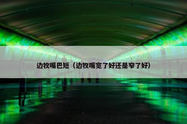 边牧嘴巴短（边牧嘴宽了好还是窄了好）