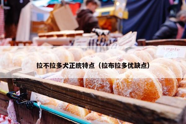 拉不拉多犬正统特点（拉布拉多优缺点）