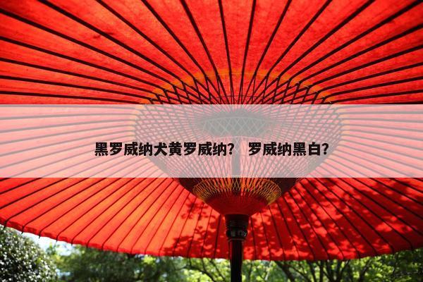 黑罗威纳犬黄罗威纳？ 罗威纳黑白？