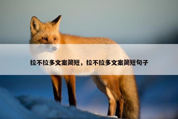 拉不拉多文案简短，拉不拉多文案简短句子