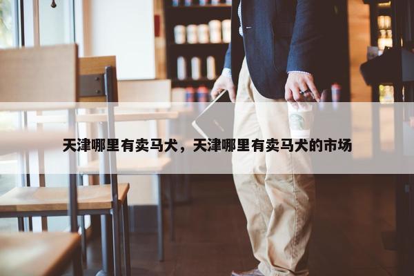 天津哪里有卖马犬，天津哪里有卖马犬的市场