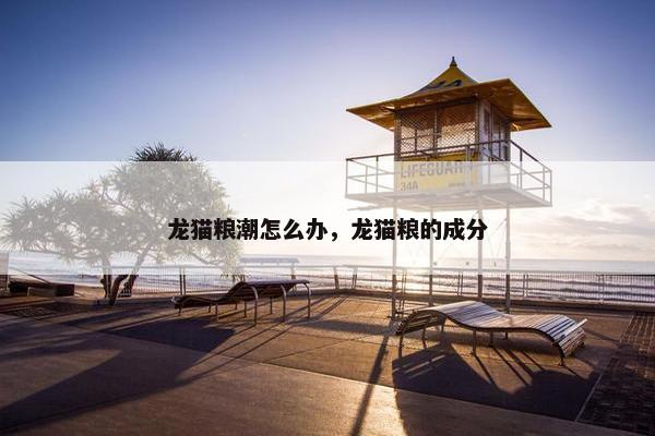 龙猫粮潮怎么办，龙猫粮的成分