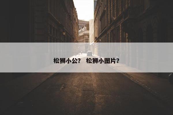 松狮小公？ 松狮小图片？