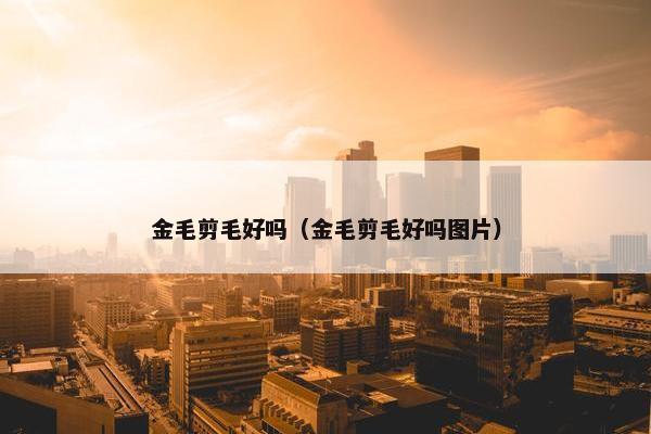 金毛剪毛好吗（金毛剪毛好吗图片）