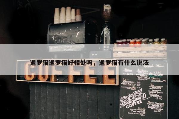 暹罗猫暹罗猫好相处吗，暹罗猫有什么说法