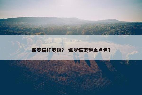 暹罗猫打英短？ 暹罗猫英短重点色？