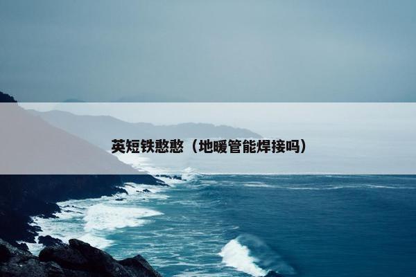 英短铁憨憨（地暖管能焊接吗）