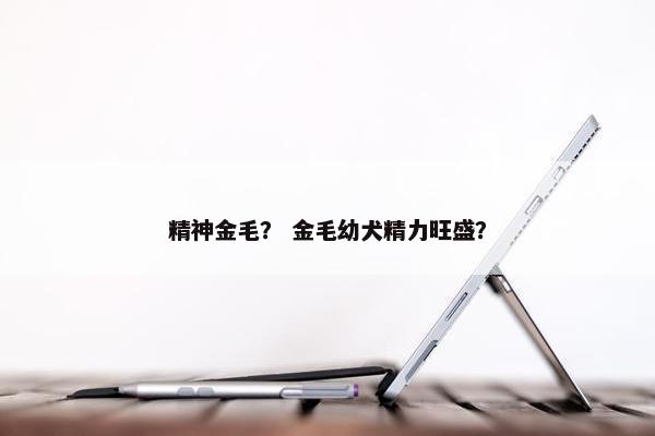 精神金毛？ 金毛幼犬精力旺盛？