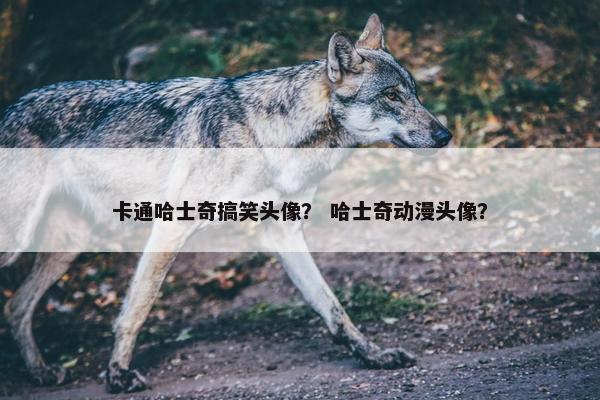 卡通哈士奇搞笑头像？ 哈士奇动漫头像？