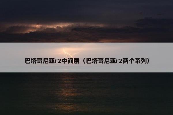巴塔哥尼亚r2中间层（巴塔哥尼亚r2两个系列）