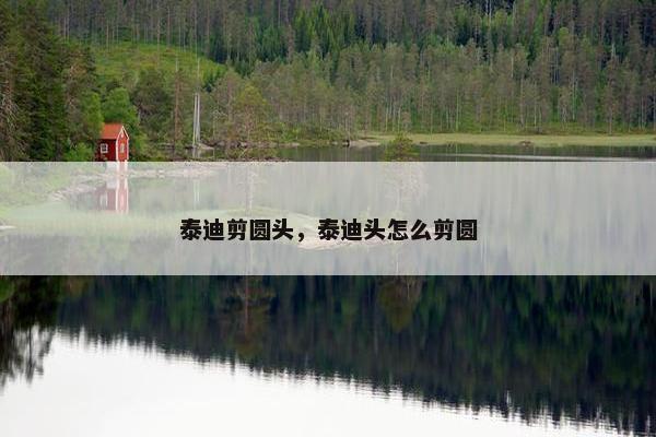 泰迪剪圆头，泰迪头怎么剪圆