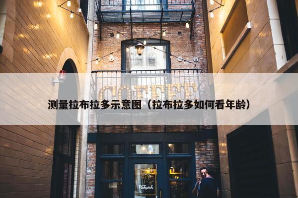 测量拉布拉多示意图（拉布拉多如何看年龄）