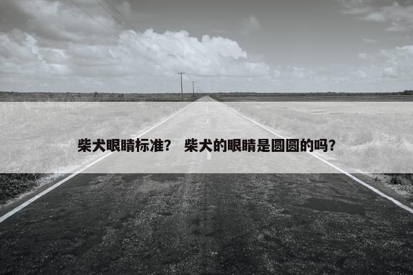 柴犬眼睛标准？ 柴犬的眼睛是圆圆的吗？