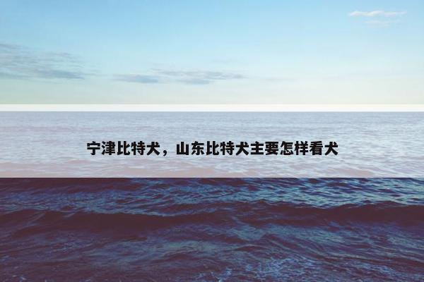 宁津比特犬，山东比特犬主要怎样看犬