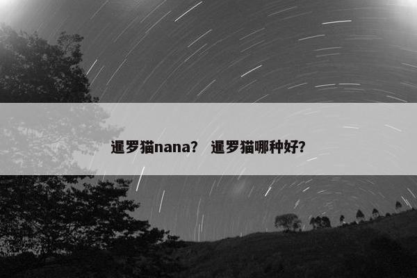 船长