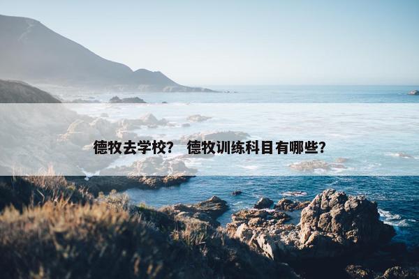 德牧 第24页