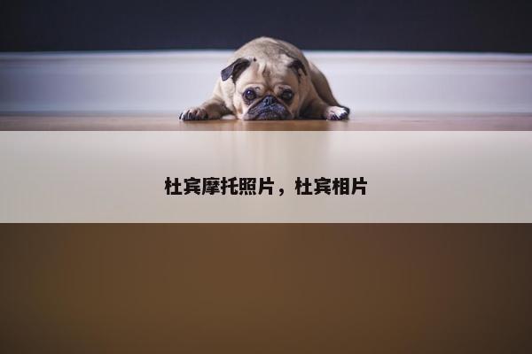 杜宾摩托照片，杜宾相片