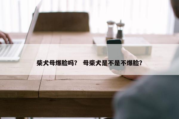 柴犬母爆脸吗？ 母柴犬是不是不爆脸？