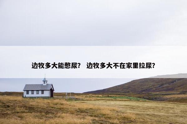 边牧多大能憋尿？ 边牧多大不在家里拉尿？