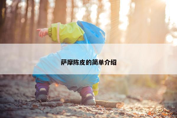 萨摩陈皮的简单介绍