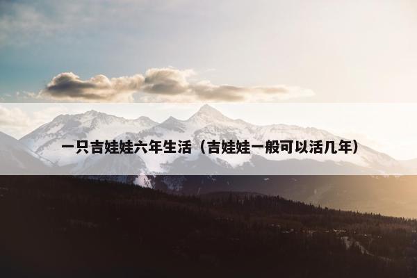 一只吉娃娃六年生活（吉娃娃一般可以活几年）