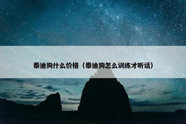 泰迪狗什么价格（泰迪狗怎么训练才听话）