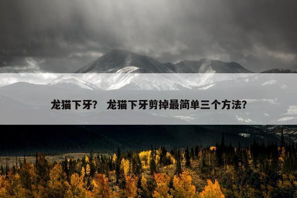 龙猫下牙？ 龙猫下牙剪掉最简单三个方法？