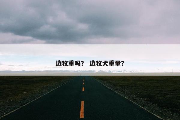 边牧重吗？ 边牧犬重量？