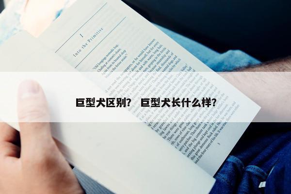 巨型犬区别？ 巨型犬长什么样？