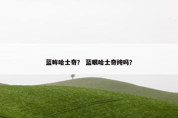 蓝眸哈士奇？ 蓝眼哈士奇纯吗？