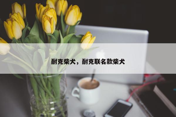 耐克柴犬，耐克联名款柴犬