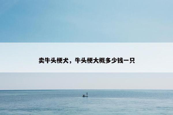 卖牛头梗犬，牛头梗大概多少钱一只