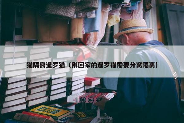 猫隔离暹罗猫（刚回家的暹罗猫需要分窝隔离）