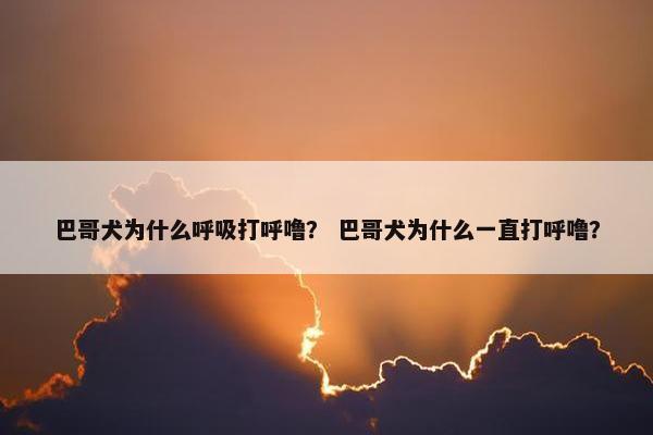 巴哥犬为什么呼吸打呼噜？ 巴哥犬为什么一直打呼噜？