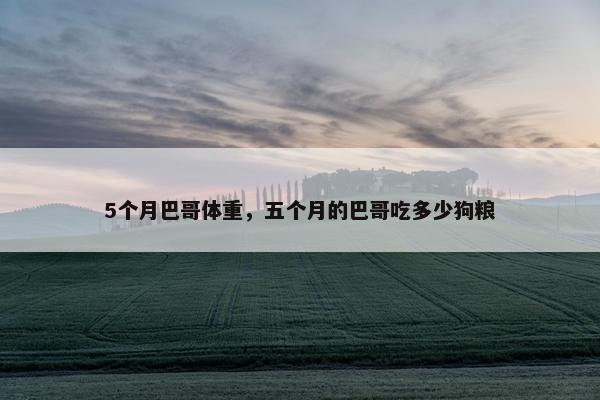 5个月巴哥体重，五个月的巴哥吃多少狗粮