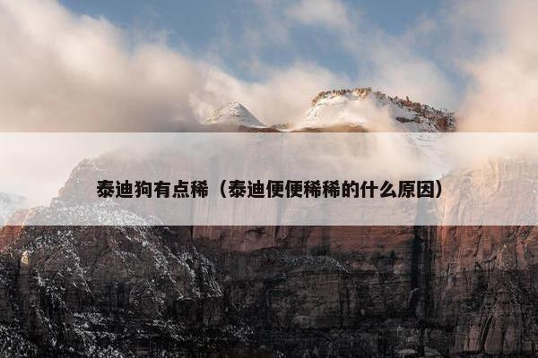 泰迪狗有点稀（泰迪便便稀稀的什么原因）