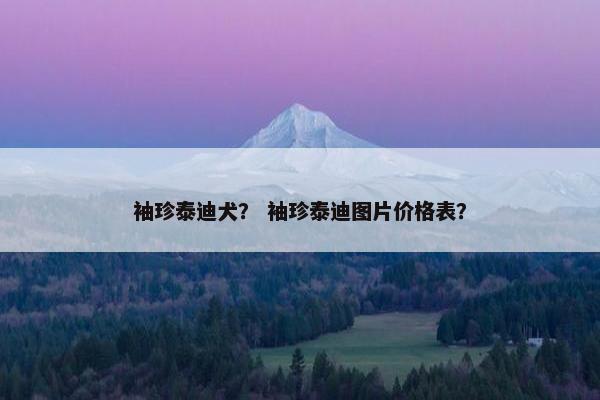 袖珍泰迪犬？ 袖珍泰迪图片价格表？