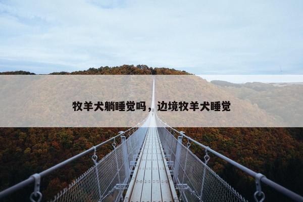 牧羊犬躺睡觉吗，边境牧羊犬睡觉