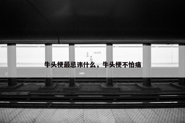 牛头梗最忌讳什么，牛头梗不怕痛