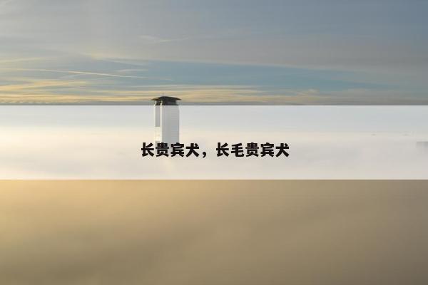 巨型 第2页