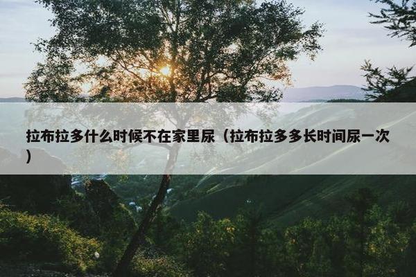 拉布拉多什么时候不在家里尿（拉布拉多多长时间尿一次）
