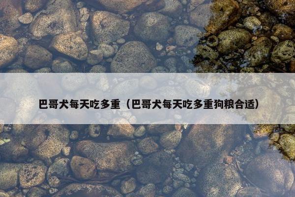 巴哥犬每天吃多重（巴哥犬每天吃多重狗粮合适）