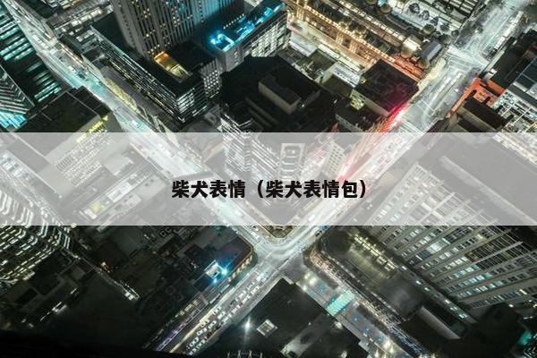 柴犬表情（柴犬表情包）