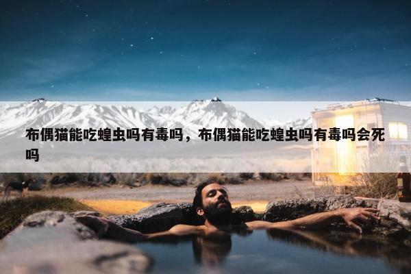 布偶猫能吃蝗虫吗有毒吗，布偶猫能吃蝗虫吗有毒吗会死吗