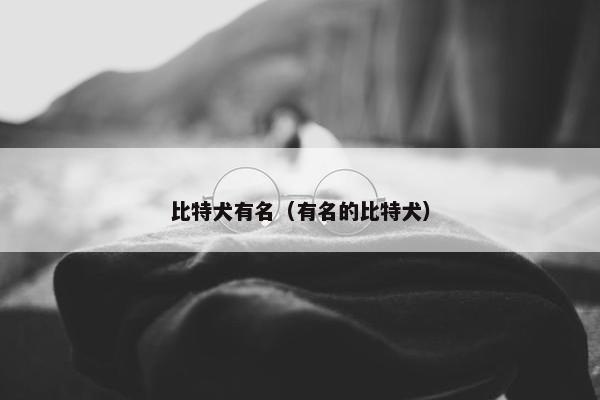 比特犬有名（有名的比特犬）
